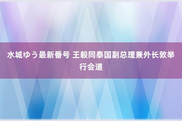 水城ゆう最新番号 王毅同泰国副总理兼外长敦举行会道