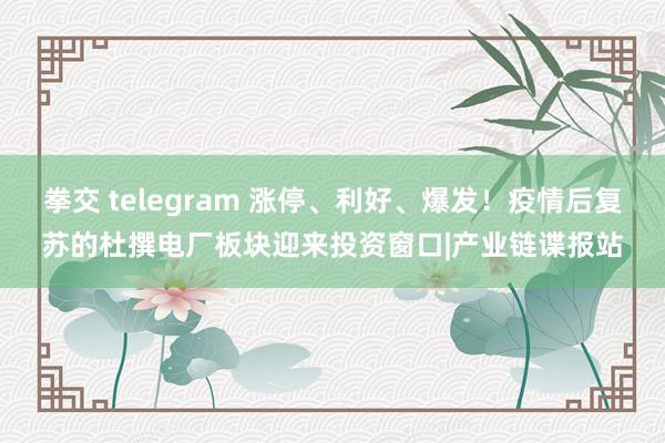 拳交 telegram 涨停、利好、爆发！疫情后复苏的杜撰电厂板块迎来投资窗口|产业链谍报站