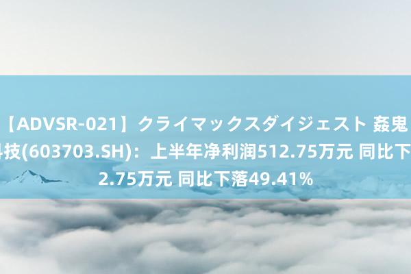 【ADVSR-021】クライマックスダイジェスト 姦鬼 ’10 盛洋科技(603703.SH)：上半年净利润512.75万元 同比下落49.41%